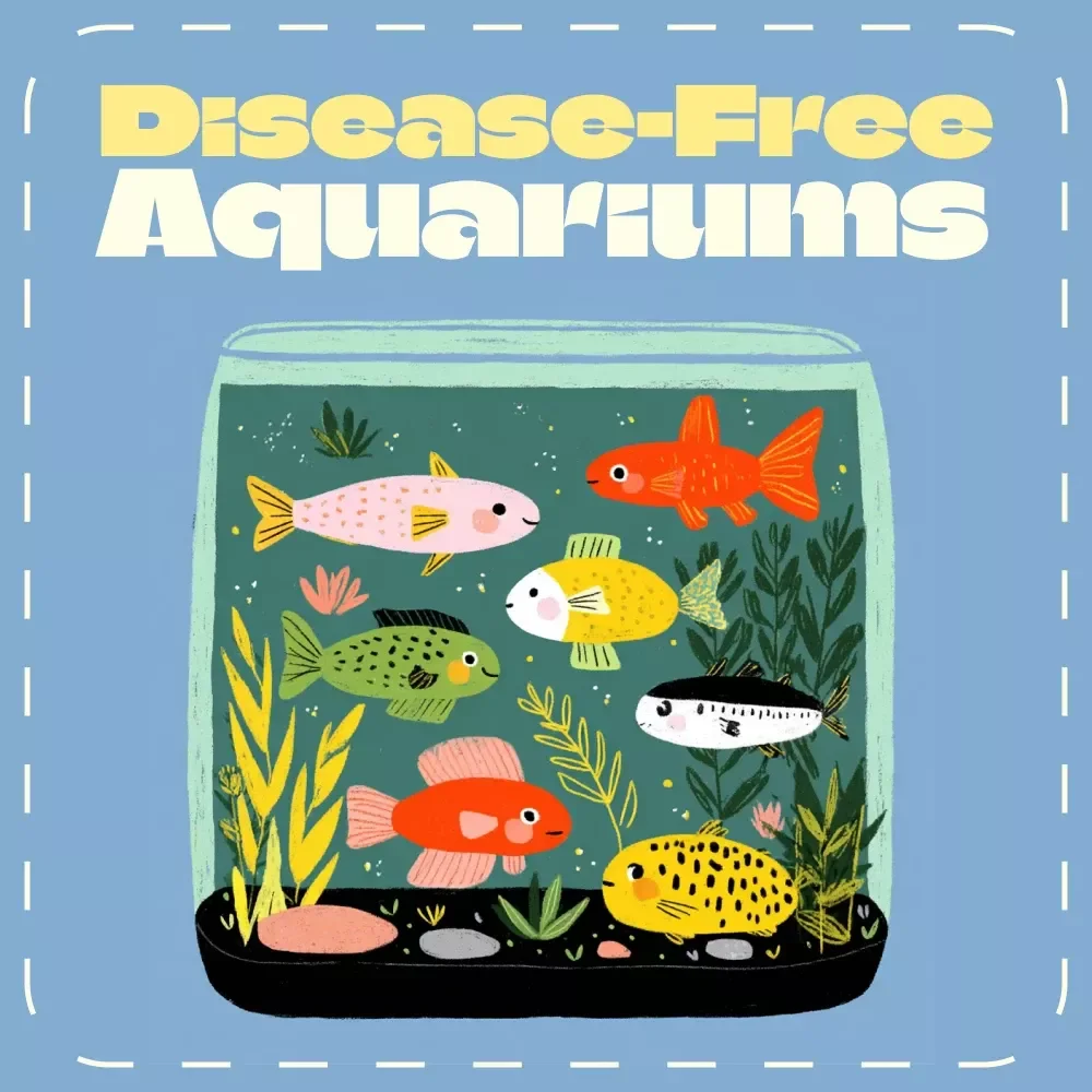 The Guide to Disease-Free Aquariums | Digital Fish Care Guide for Healthy Tanks | How to Prevent Fish Disease eBook for Beginners and Experts