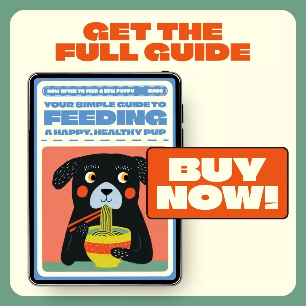 Your Simple Guide to Feeding a Happy, Healthy Pup | Digital Puppy Feeding Guide for New Owners | Learn How Often to Feed a New Puppy + Puppy Meal Planner
