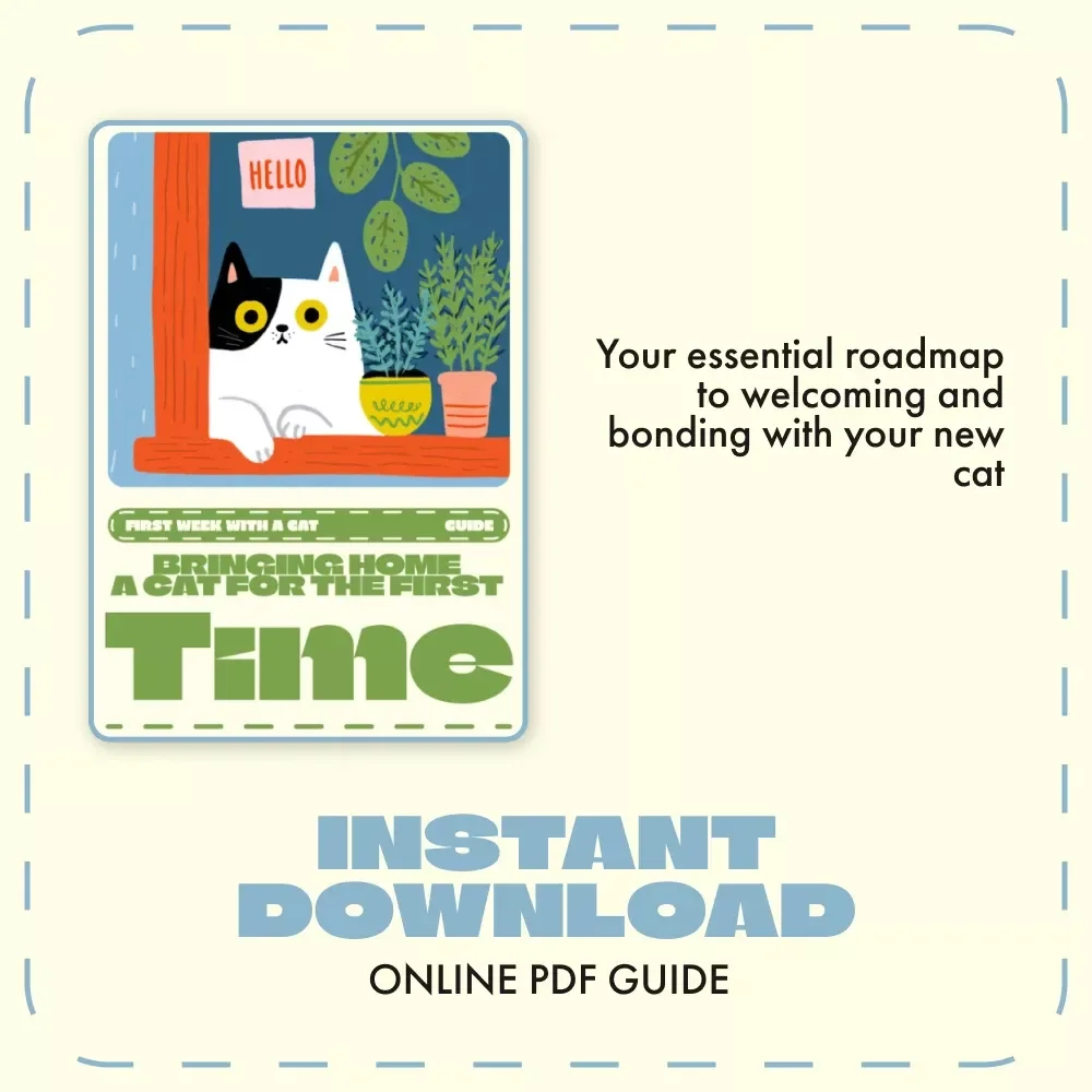 Bringing Home a Cat for the First Time | Digital Guide for New Cat Owners | What to Do in the First Week with a Cat | Printable eBook & Checklist