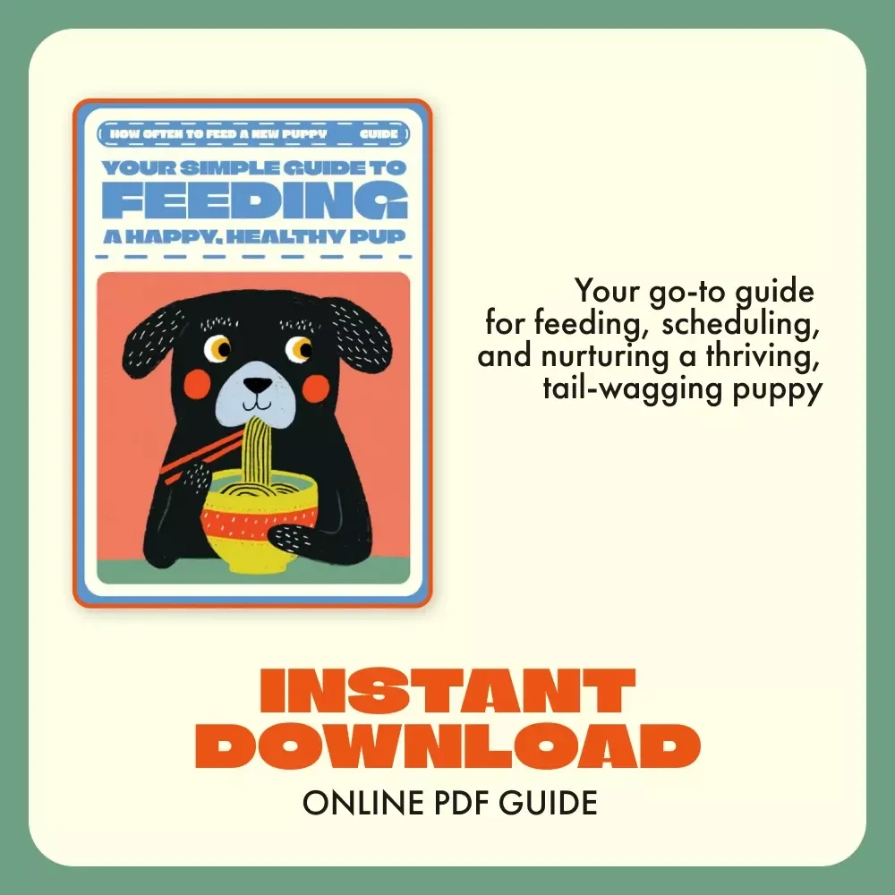 Your Simple Guide to Feeding a Happy, Healthy Pup | Digital Puppy Feeding Guide for New Owners | Learn How Often to Feed a New Puppy + Puppy Meal Planner