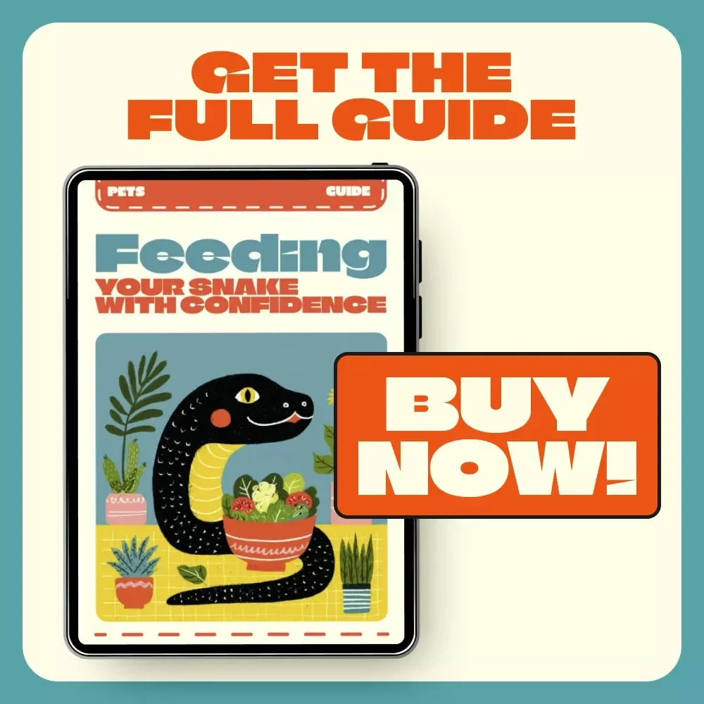 Feeding Your Snake with Confidence | Digital Guide for Snake Owners | Feeding Snakes Tips for Beginners | Printable eBook on Snake Feeding Routine, Safety, and Troubleshooting