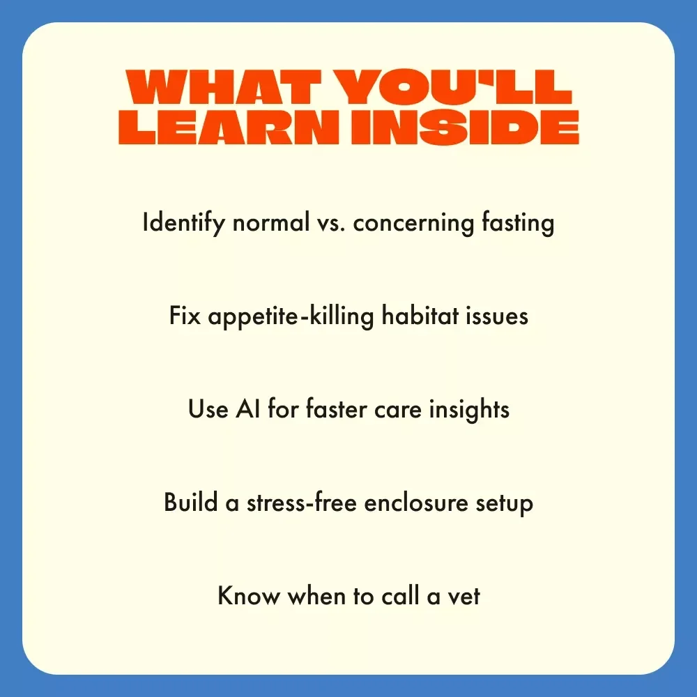 When Your Tarantula Stops Eating | Digital Guide for Tarantula Keepers | Understand Why Is My Tarantula Not Eating + Expert Tips & AI Care Tools