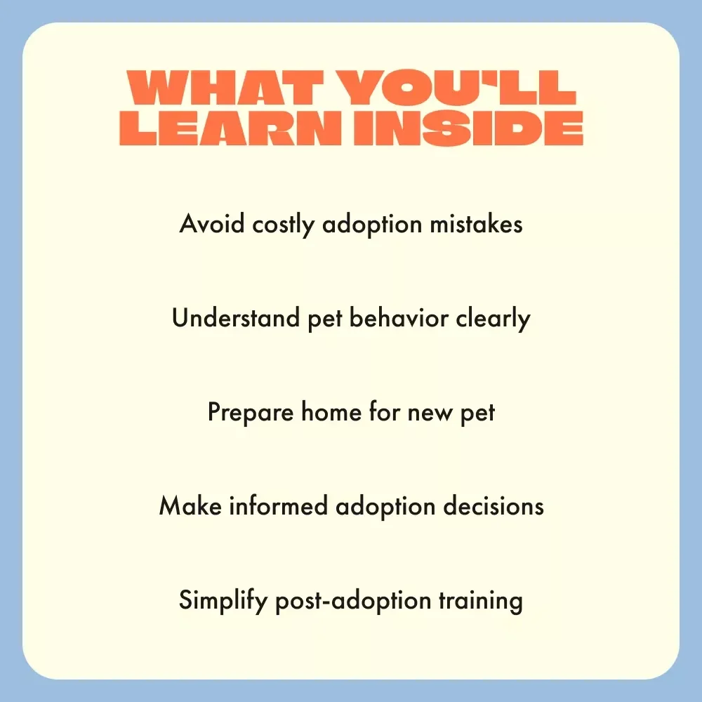 Questions to Ask Before Bringing Home Your Shelter Pet — Ultimate Guide to Shelter Adoption, Health, Temperament, and Compatibility