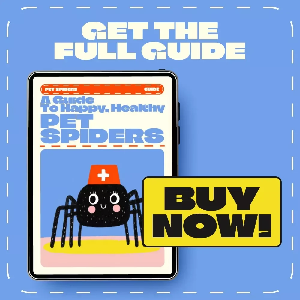 A Guide to Happy, Healthy Pet Spiders | How to Take Care of Pet Spiders | Digital Spider Care eBook for Beginners & Enthusiasts