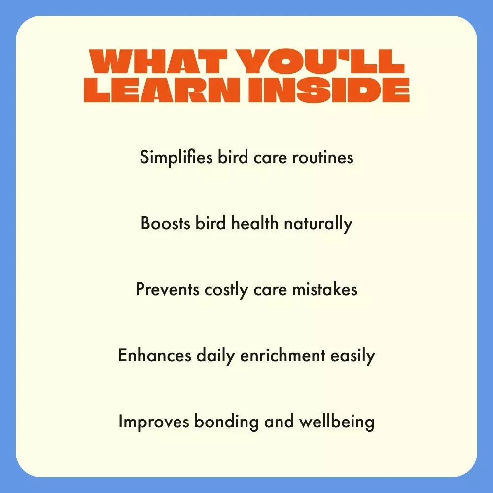 The Guide to Pet Bird Supplies | Ultimate pet bird supply list | Digital Download for Bird Owners, Parrot Parents & Pet Lovers