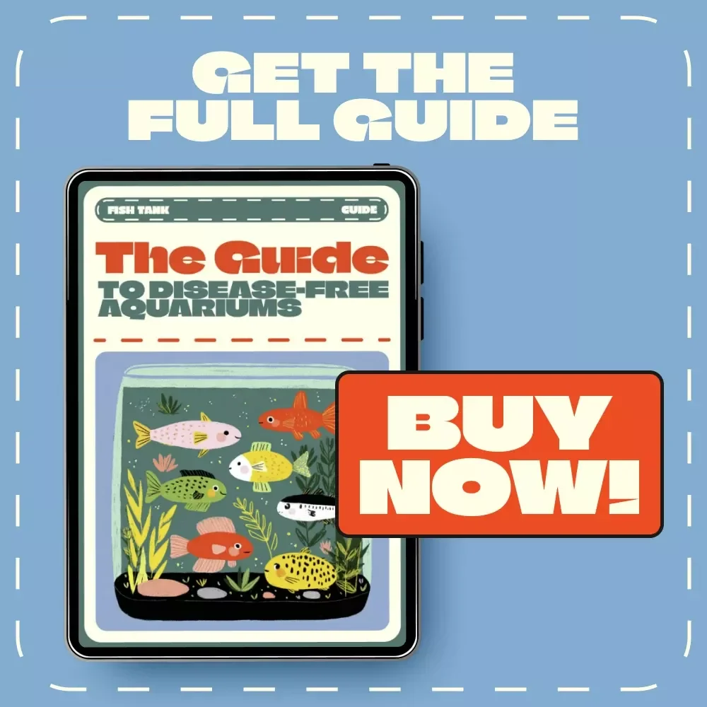 The Guide to Disease-Free Aquariums | Digital Fish Care Guide for Healthy Tanks | How to Prevent Fish Disease eBook for Beginners and Experts