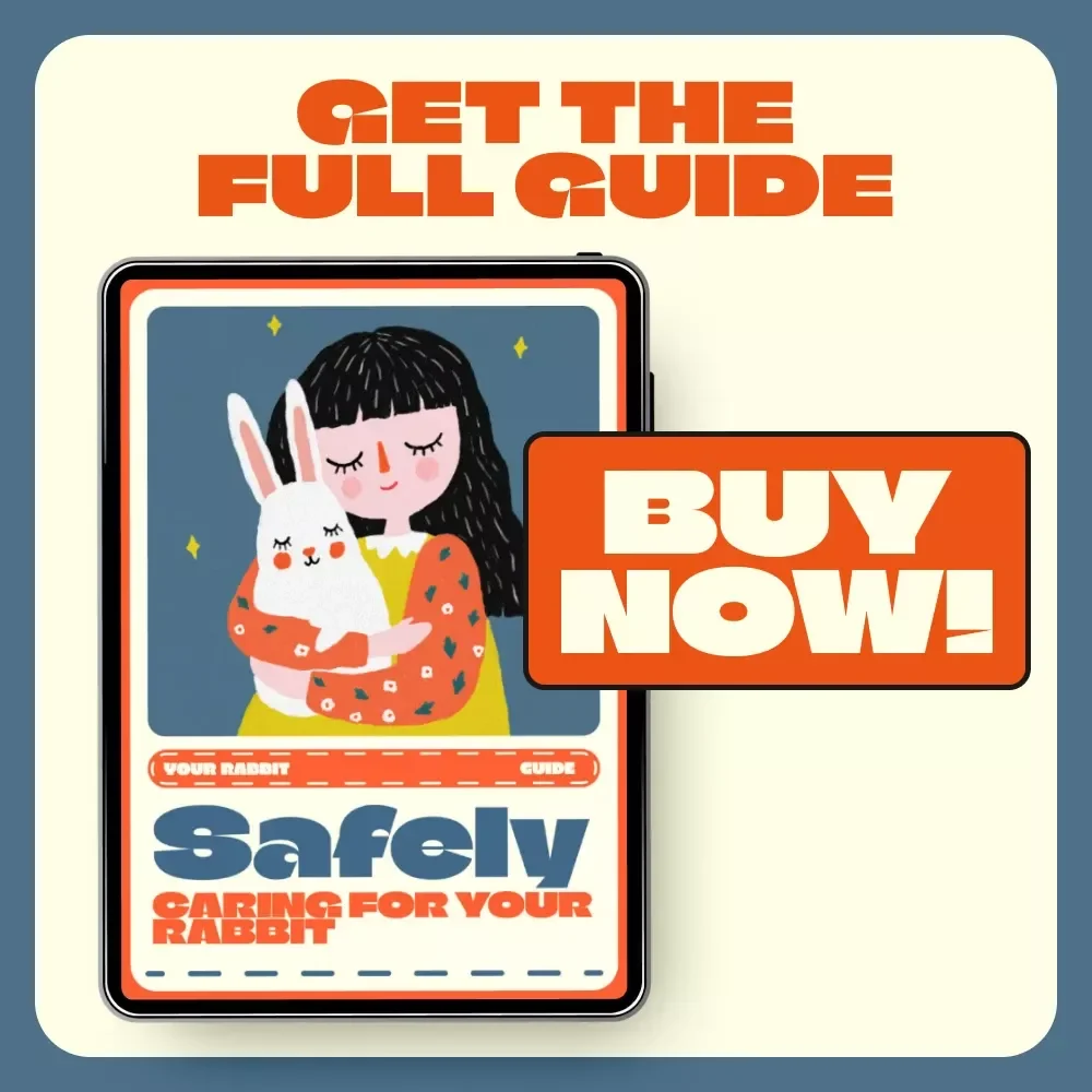 Safely Caring for Your Rabbit | Ultimate Rabbit Care & Handling Guide | Learn How to Handle a Rabbit Safely for Happy, Healthy Bunnies