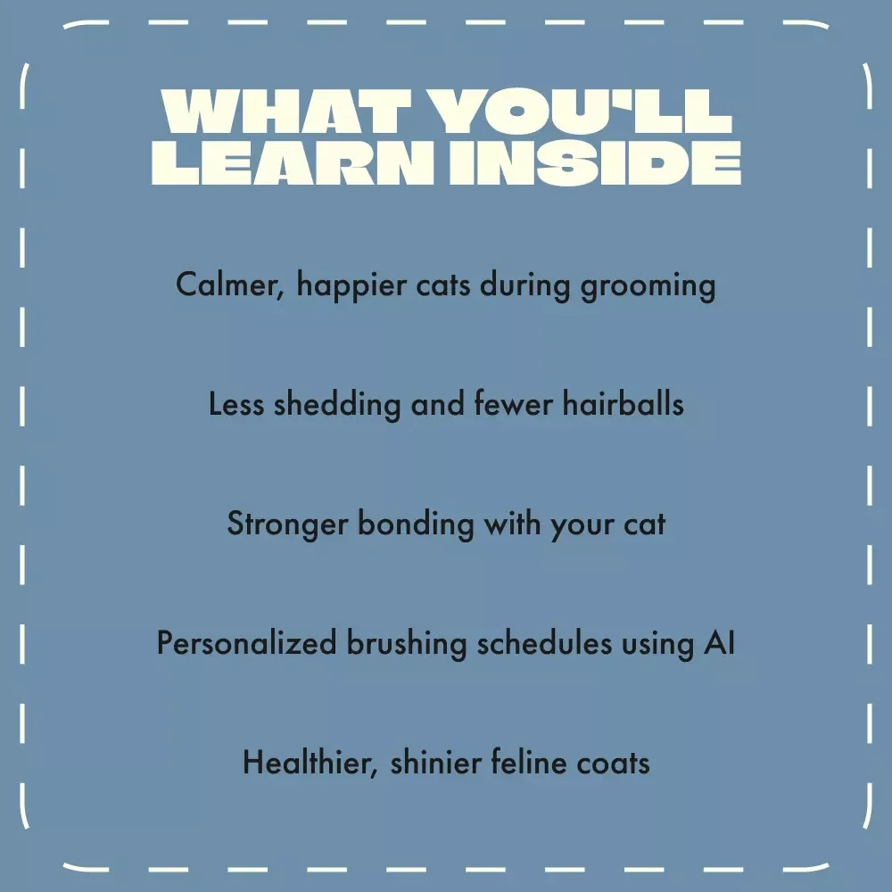 How to Brush Your Cat Safely | Digital Cat Grooming Guide for Pet Owners | Printable eBook & AI Brushing Schedule Ideas for Stress-Free Cat Care