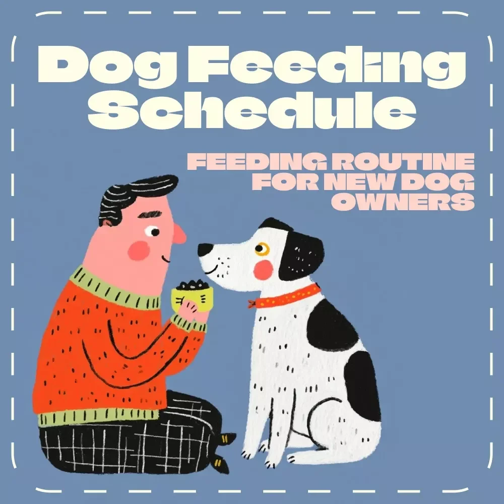 The Beginner’s Dog Feeding Schedule Checklist | Printable Digital Download for New Dog Owners | Puppy & Adult Dog Feeding Routine Guide | Dog Feeding Schedule for Beginners