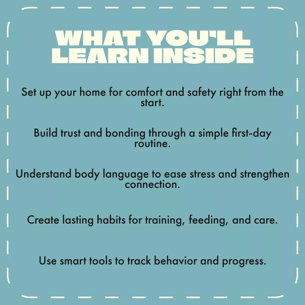 A Guide to First Day Dog Essentials | Printable Pet Owner’s Handbook | Dog Essentials for First Day | New Puppy Care Guide for Beginners | Digital Download eBook for Dog Lovers