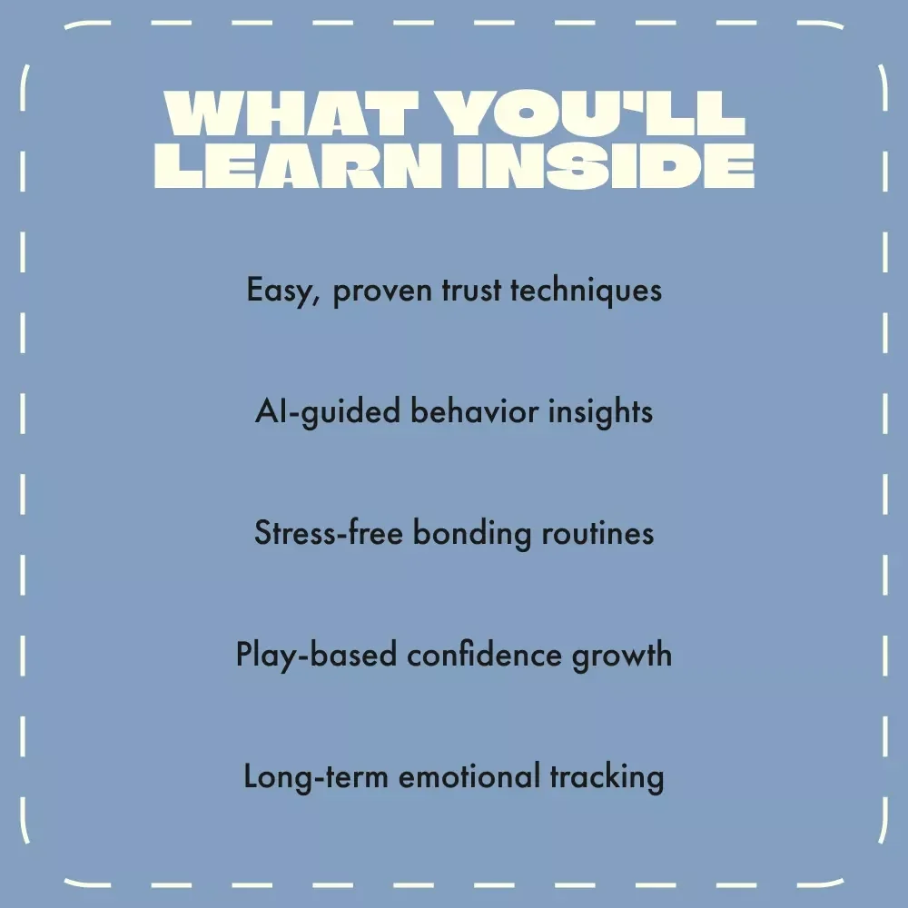A Cat Confidence Guide | Digital Download for Cat Owners | How to Build Confidence in Shy Cats | Step-by-Step Trust-Building eBook