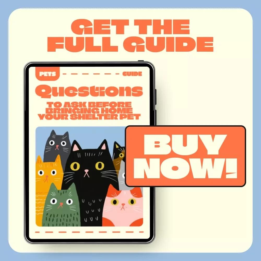Questions to Ask Before Bringing Home Your Shelter Pet — Ultimate Guide to Shelter Adoption, Health, Temperament, and Compatibility