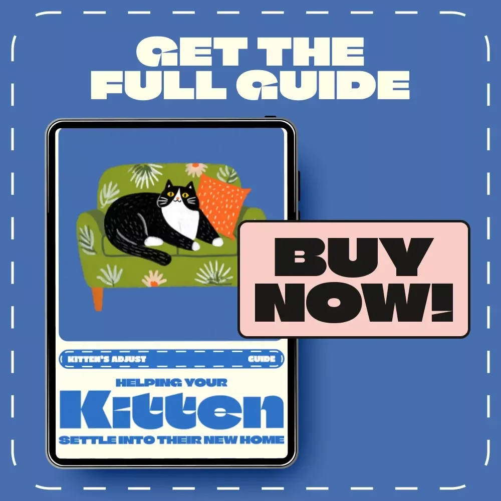 Helping Your Kitten Settle into Their New Home | Digital Guide for New Cat Owners | Step-by-Step eBook on How Long Does It Take a Kitten to Adjust | Feline Care and Comfort Tips
