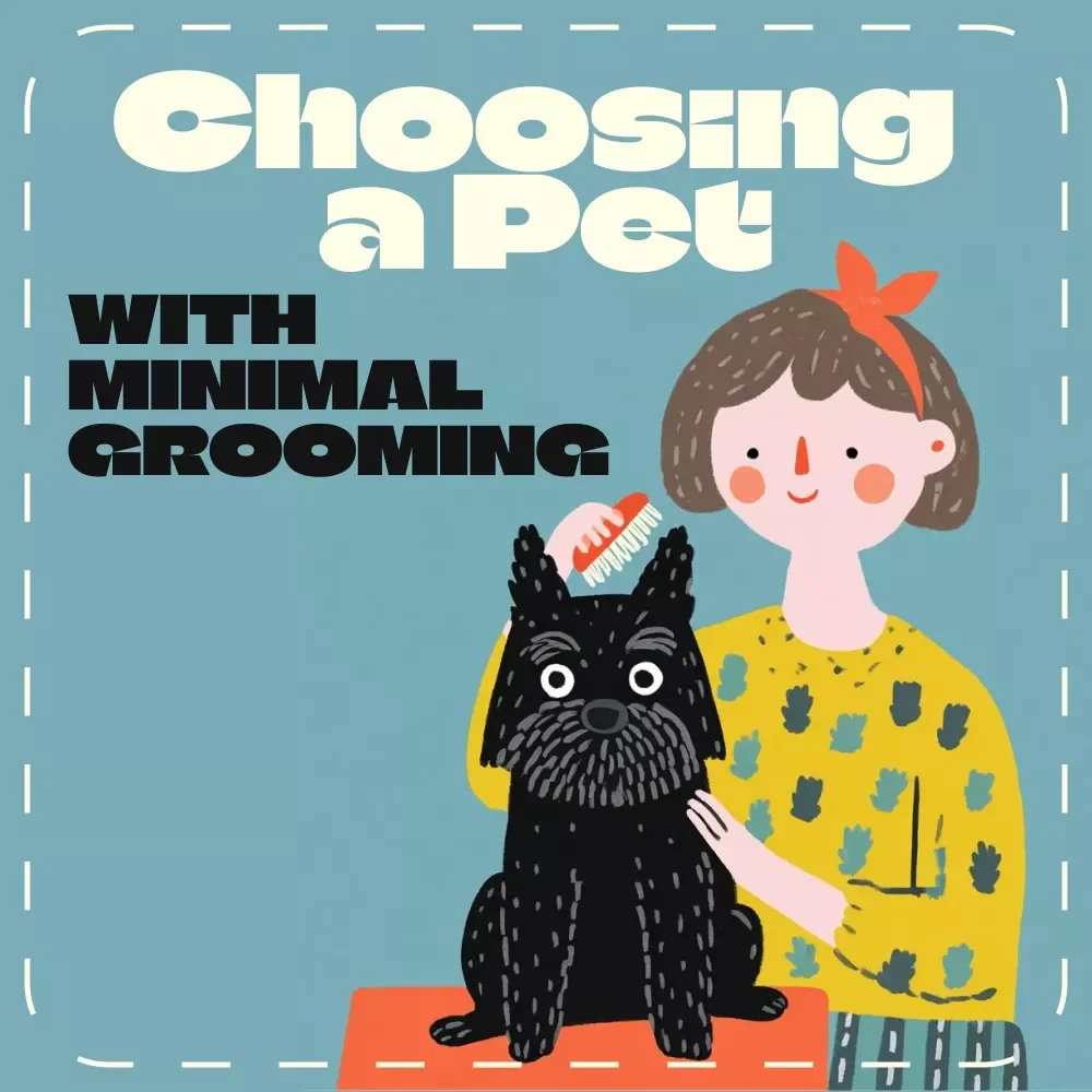 Choosing a Pet with Minimal Grooming | Low-Maintenance Pet Guide | Digital Download eBook for Busy Owners, Families, & First-Time Pet Parents