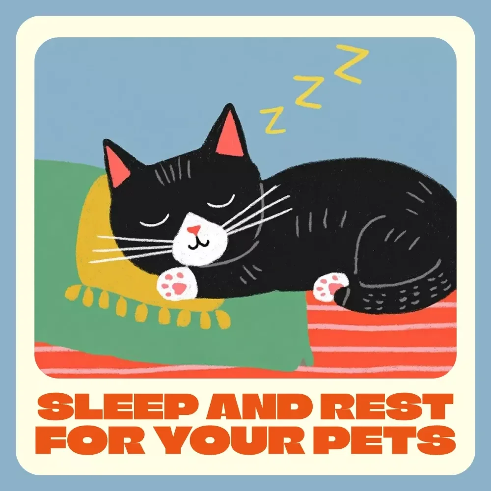 Paws and Pause: A Guide to Sleep and Rest for Your Pets | Digital Pet Care Guide for Better Sleep, Relaxation & Wellness