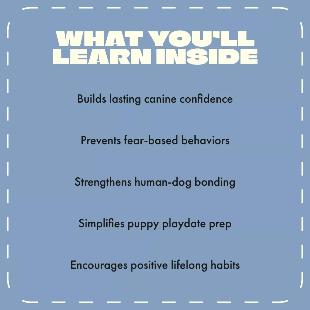 Paws & Play: A Puppy’s Guide to Making Friends | How to Socialize a Puppy with Other Dogs | Digital eBook for New Puppy Owners, Dog Trainers & Pet Lovers