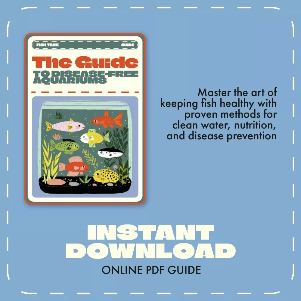 The Guide to Disease-Free Aquariums | Digital Fish Care Guide for Healthy Tanks | How to Prevent Fish Disease eBook for Beginners and Experts