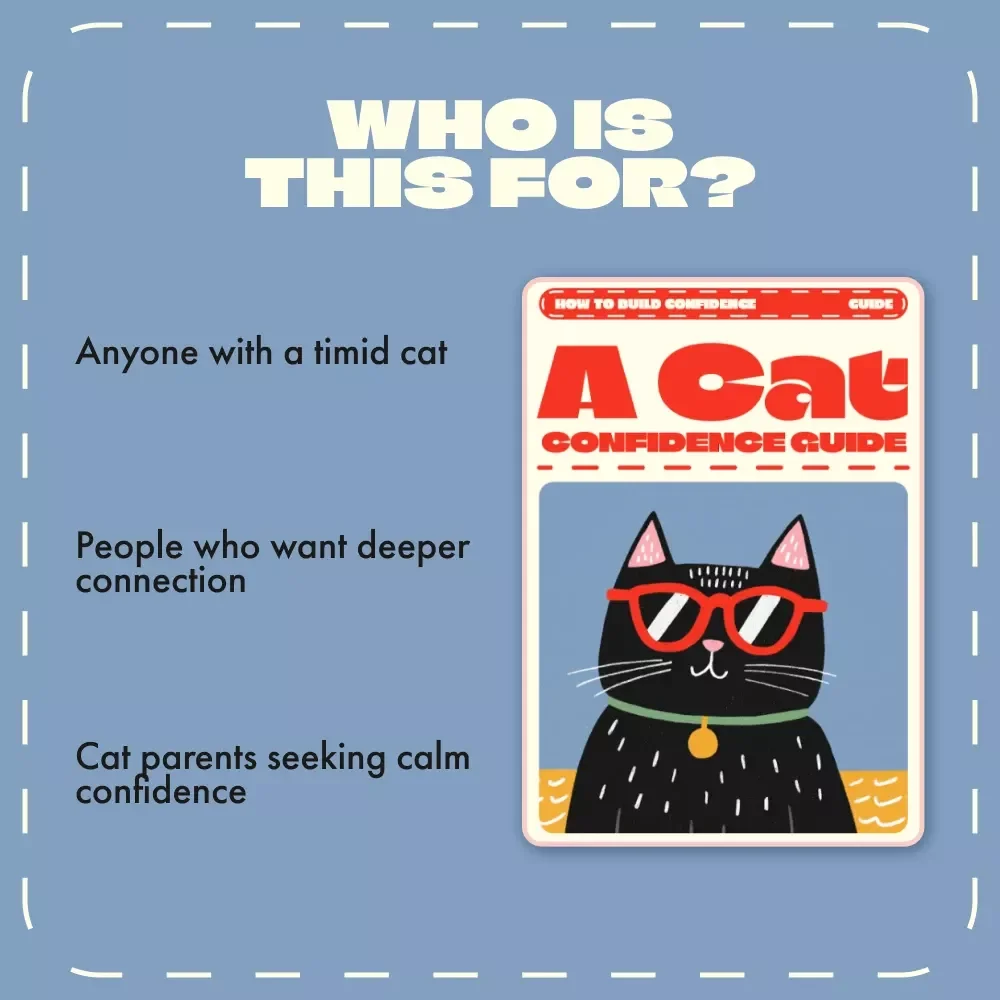 A Cat Confidence Guide | Digital Download for Cat Owners | How to Build Confidence in Shy Cats | Step-by-Step Trust-Building eBook