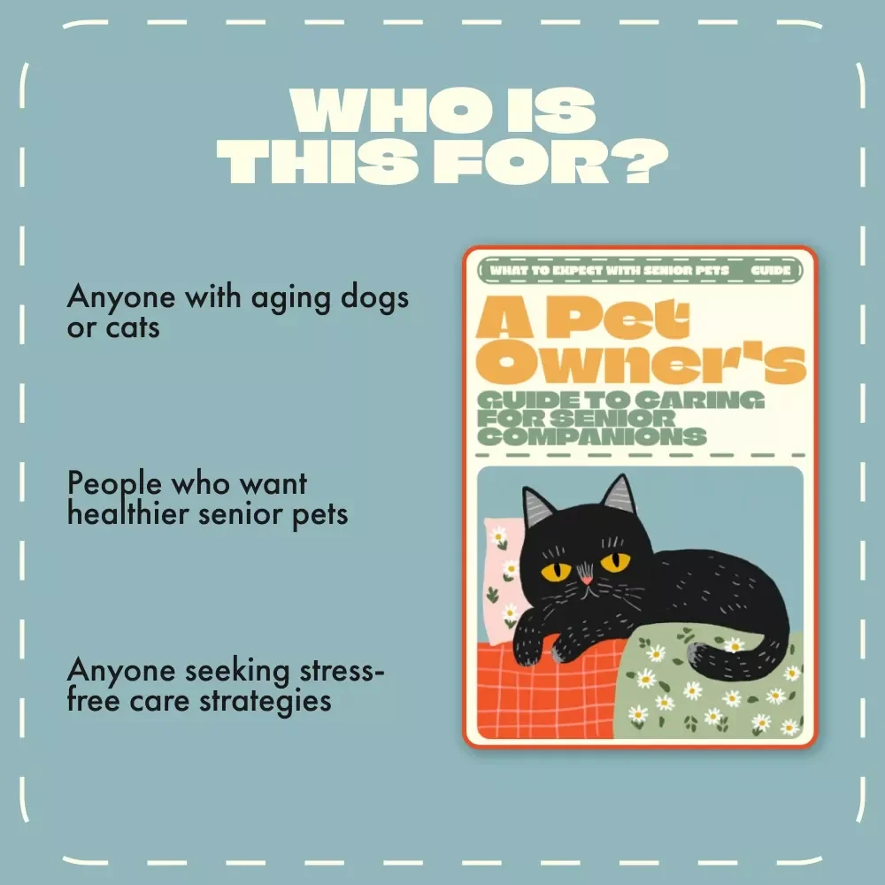 A Pet Owner’s Guide to Caring for Senior Companions – What to Expect with Senior Pets, Health Tips, Comfort, and Emotional Wellbeing