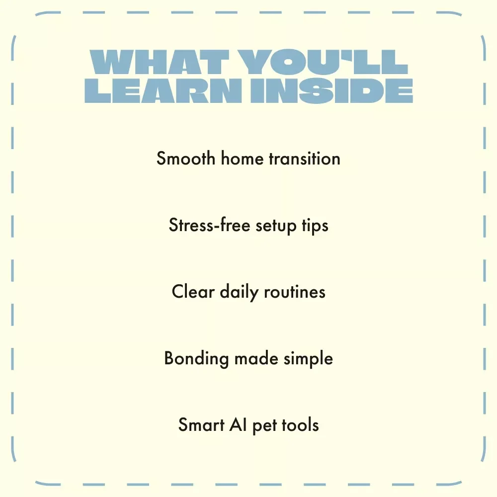 Bringing Home a Cat for the First Time | Digital Guide for New Cat Owners | What to Do in the First Week with a Cat | Printable eBook & Checklist