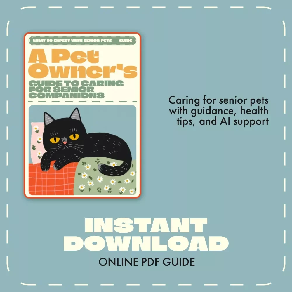 A Pet Owner’s Guide to Caring for Senior Companions – What to Expect with Senior Pets, Health Tips, Comfort, and Emotional Wellbeing