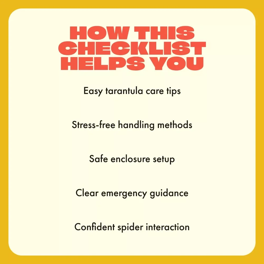 Tame the Eight-Legged Roommate | How to Handle a Pet Tarantula Safely | Printable Care & Handling Checklist for Spider Owners