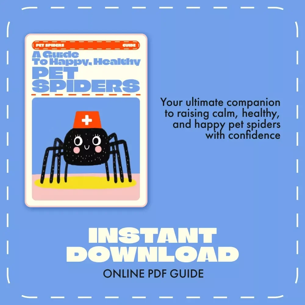 A Guide to Happy, Healthy Pet Spiders | How to Take Care of Pet Spiders | Digital Spider Care eBook for Beginners & Enthusiasts