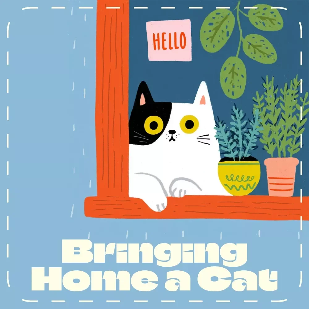 Bringing Home a Cat for the First Time | Digital Guide for New Cat Owners | What to Do in the First Week with a Cat | Printable eBook & Checklist