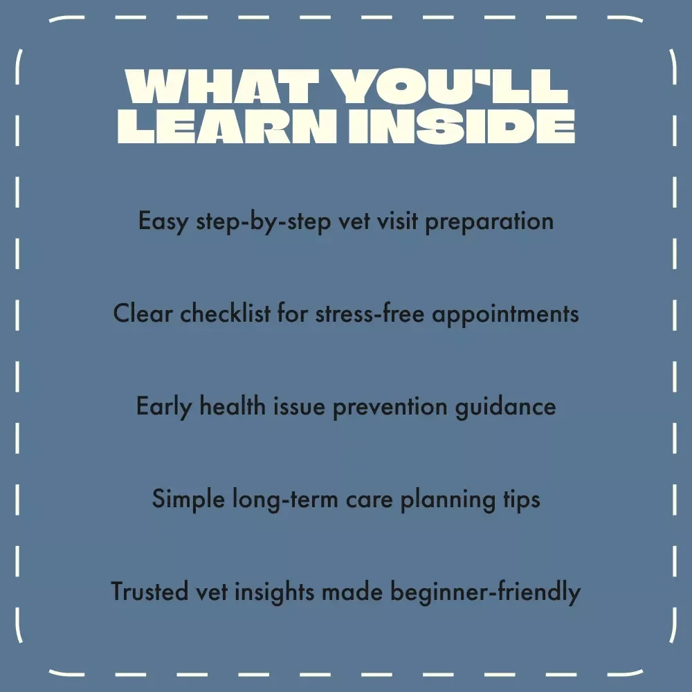 Cat’s First Veterinary Visit | Digital Guide for New Cat Owners | eBook, Checklist & Vet Preparation Tips for a Healthy Start