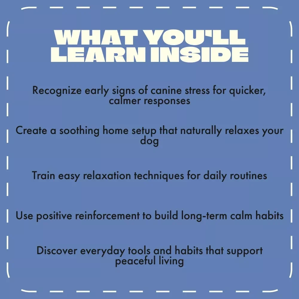 Mastering the Art of Teaching Your Dog to Relax