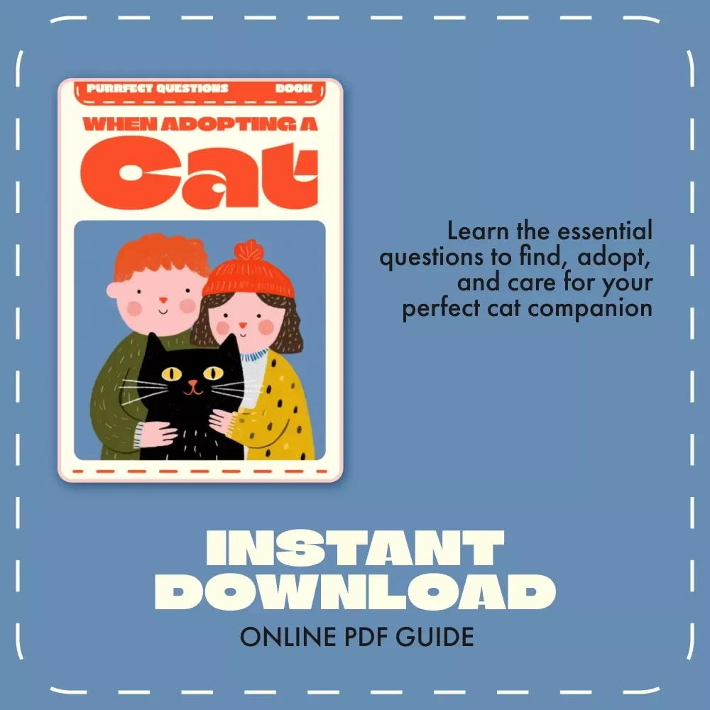 Purrfect Questions When Adopting a Cat | Cat Adoption Guide, eBook & Checklist for New Cat Parents | Digital Download for Responsible Pet Owners