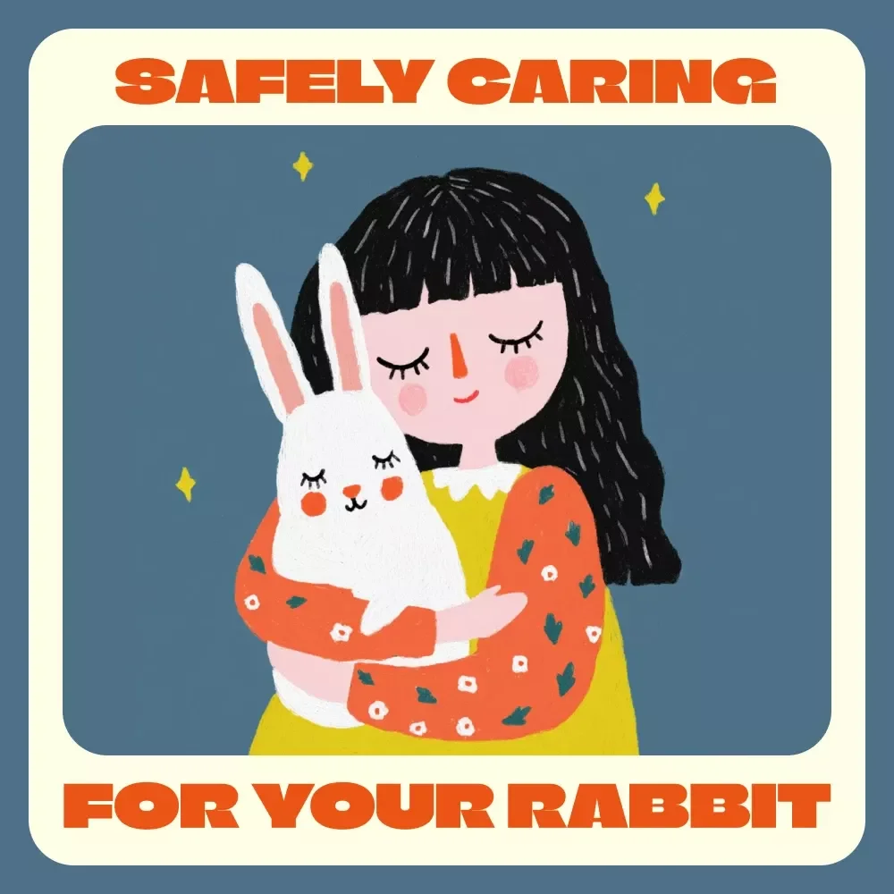 Safely Caring for Your Rabbit | Ultimate Rabbit Care & Handling Guide | Learn How to Handle a Rabbit Safely for Happy, Healthy Bunnies