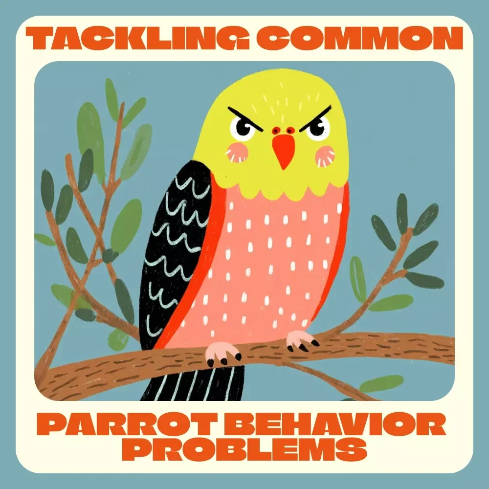 Tackling Common Parrot Behavior Problems | Parrot Training eBook, Parrot Care Guide, Bird Behavior Tips, Instant Digital Download