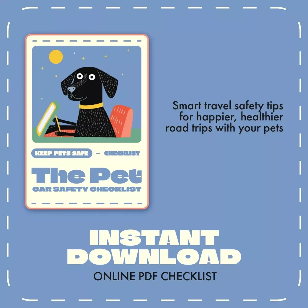 The Pet Car Safety Checklist