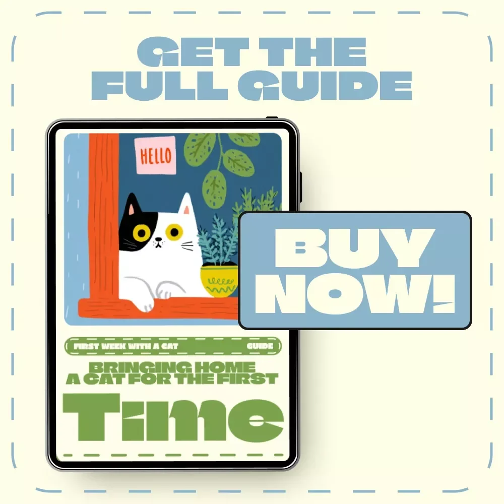 Bringing Home a Cat for the First Time | Digital Guide for New Cat Owners | What to Do in the First Week with a Cat | Printable eBook & Checklist