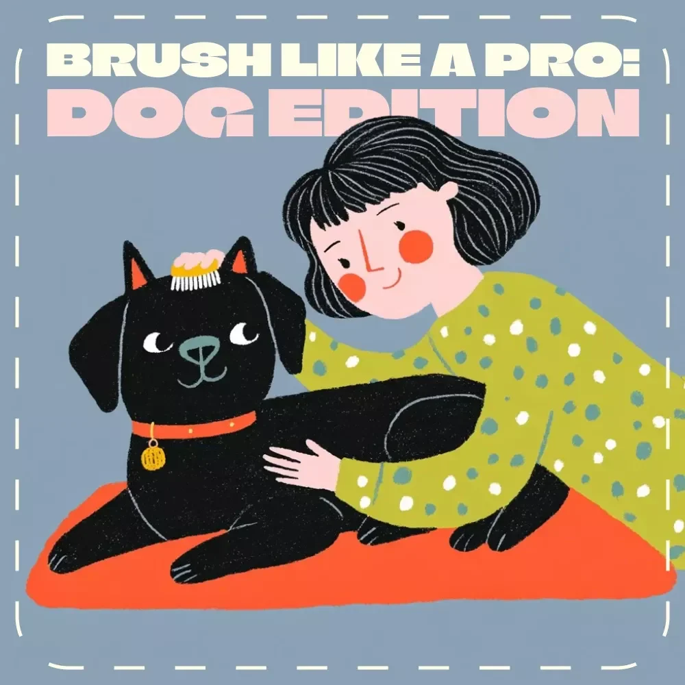Brush Like a Pro: Dog Edition | Printable Dog Brushing Checklist for Healthy Coats & Easy Grooming | Brushing Dogs Frequency and Tips Guide