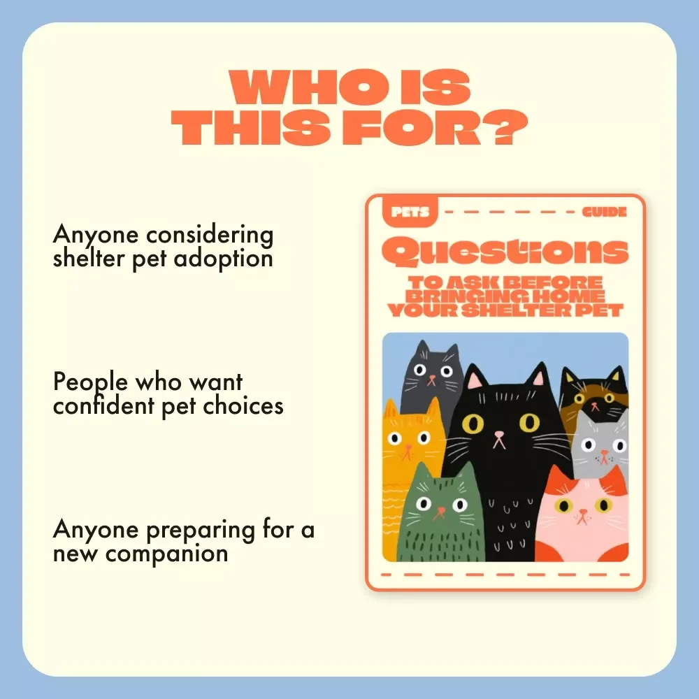 Questions to Ask Before Bringing Home Your Shelter Pet — Ultimate Guide to Shelter Adoption, Health, Temperament, and Compatibility