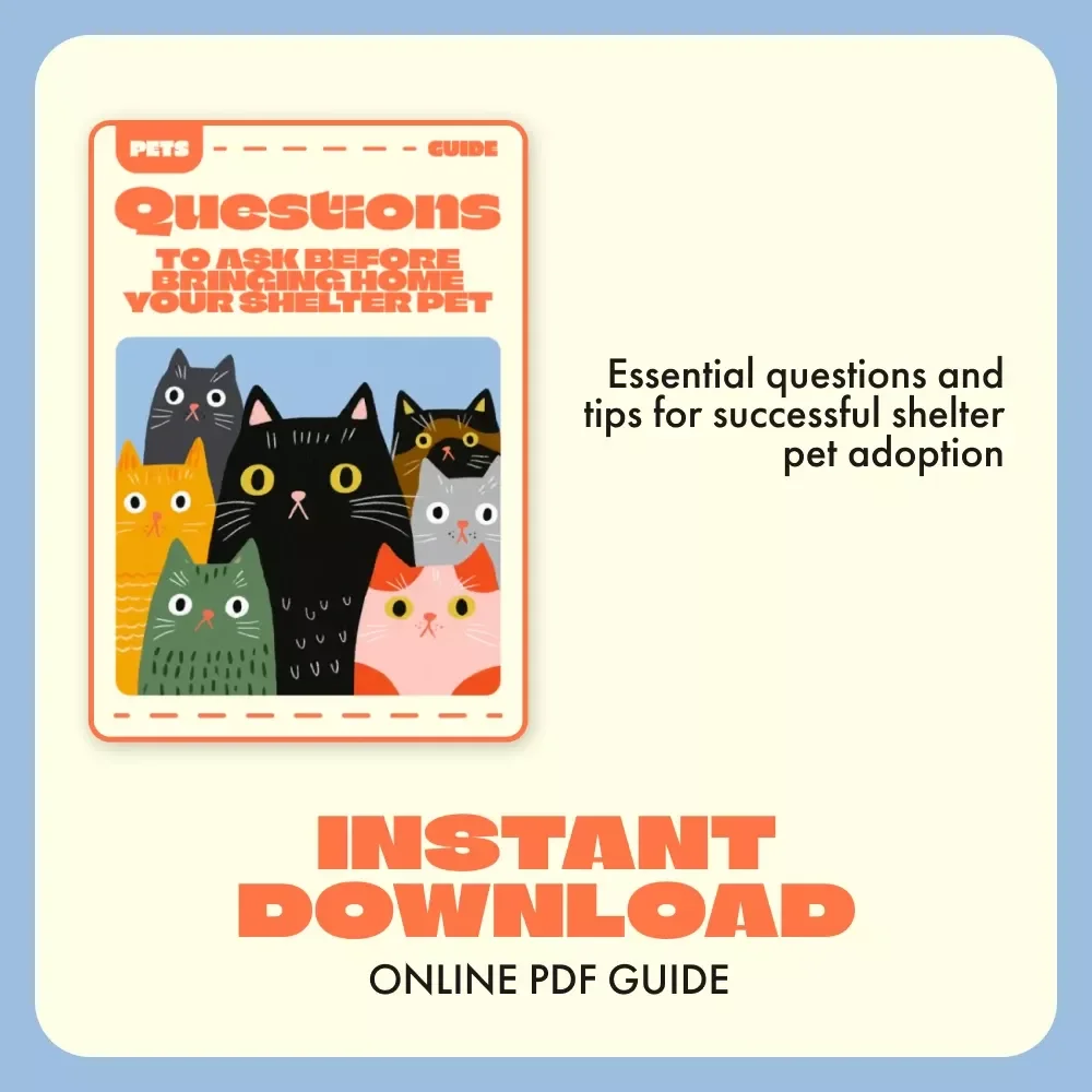 Questions to Ask Before Bringing Home Your Shelter Pet — Ultimate Guide to Shelter Adoption, Health, Temperament, and Compatibility
