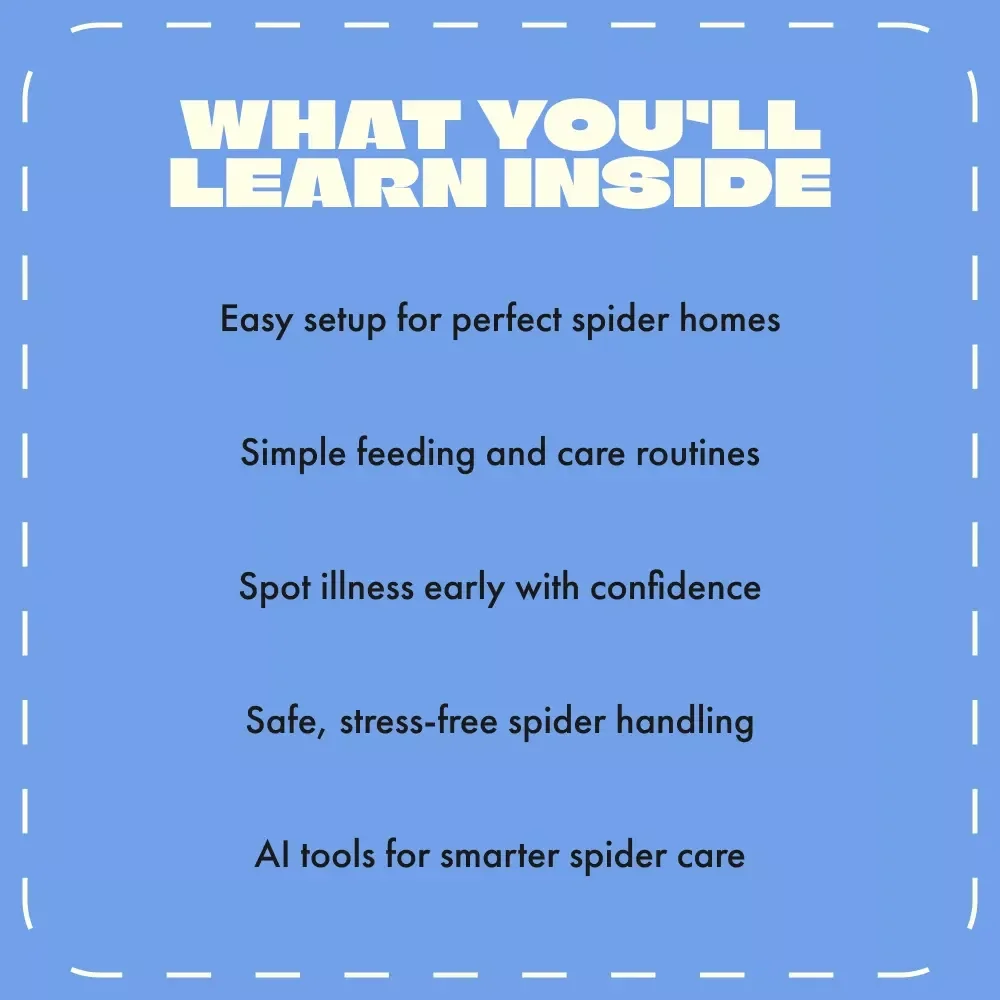 A Guide to Happy, Healthy Pet Spiders | How to Take Care of Pet Spiders | Digital Spider Care eBook for Beginners & Enthusiasts
