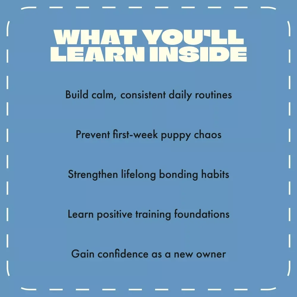 Puppy’s First Week Success Guide | Digital Puppy Training eBook, New Puppy Checklist & Home Preparation Tips for Dog Owners | Printable Pet Care Manual for Puppy Parents