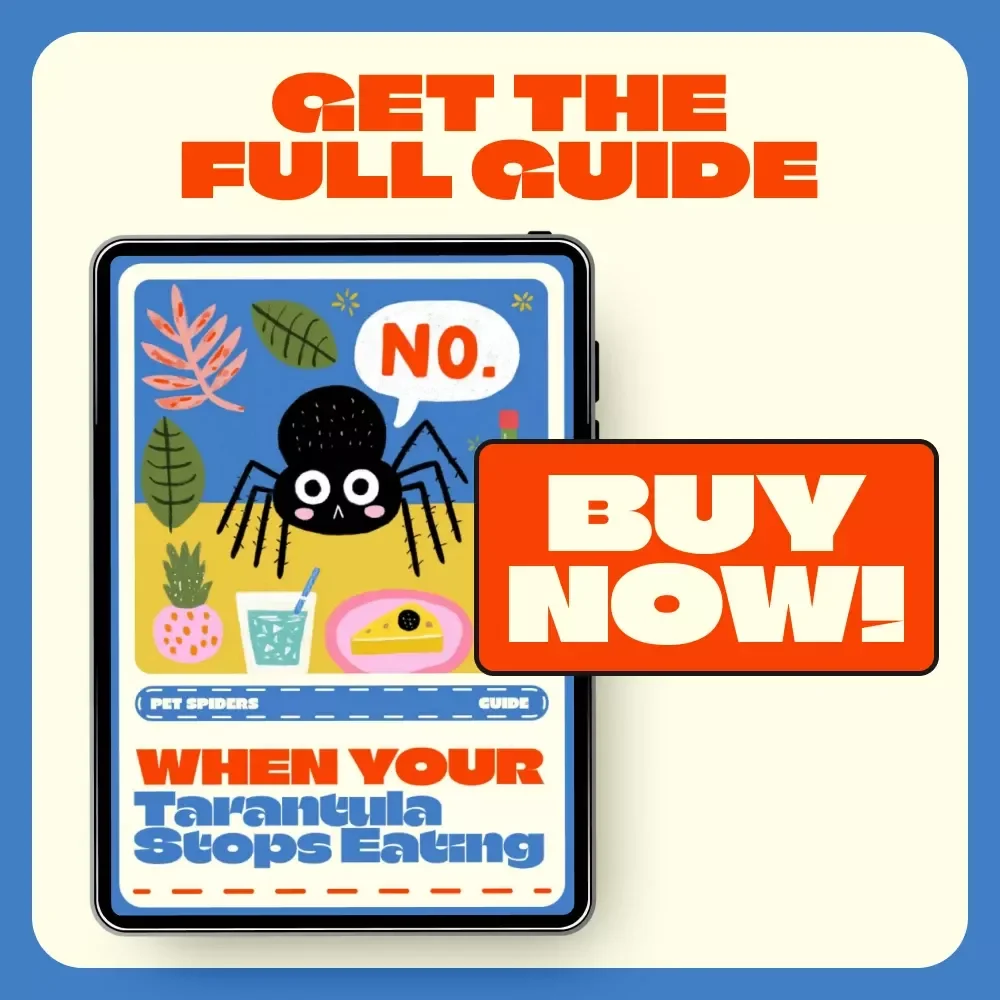When Your Tarantula Stops Eating | Digital Guide for Tarantula Keepers | Understand Why Is My Tarantula Not Eating + Expert Tips & AI Care Tools