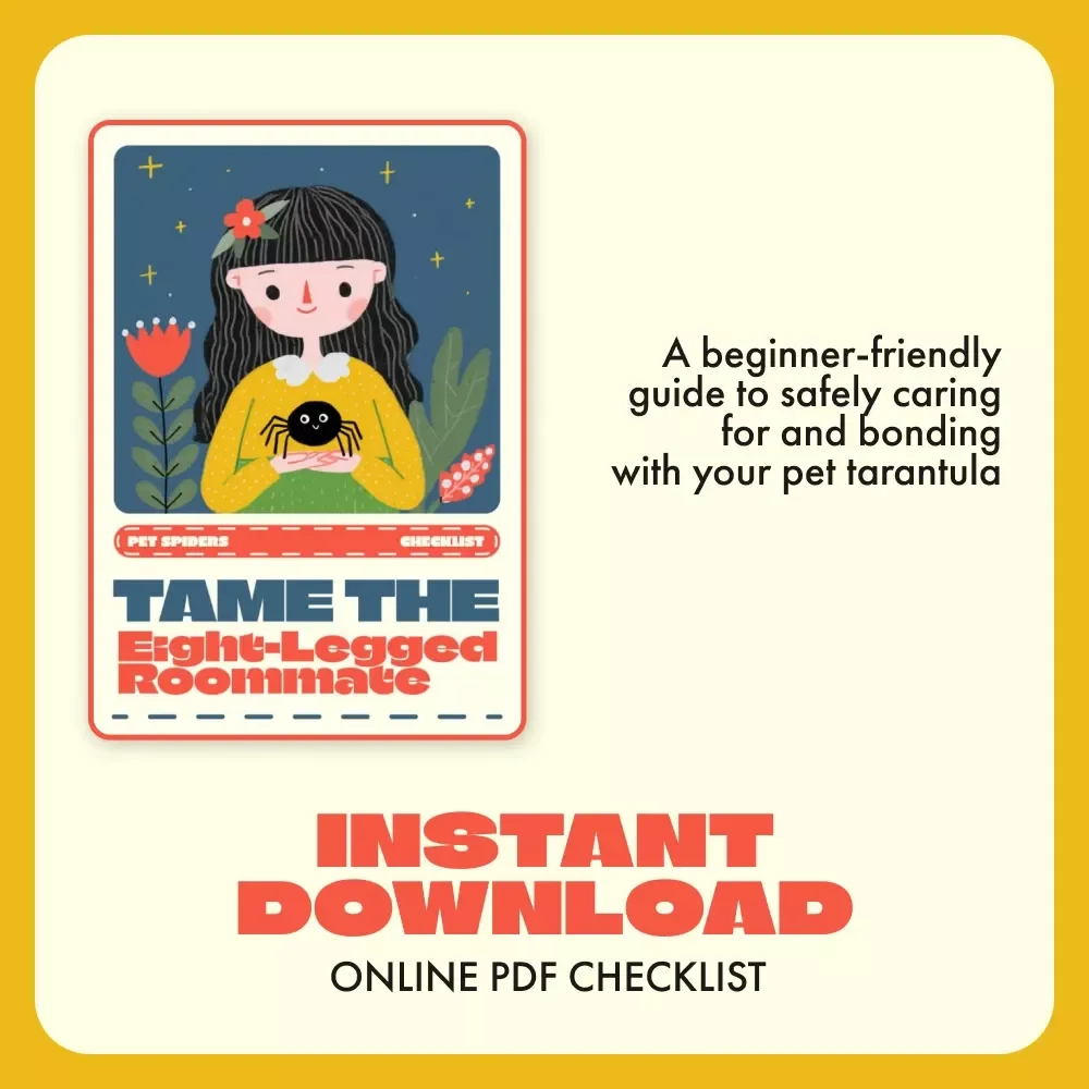 Tame the Eight-Legged Roommate | How to Handle a Pet Tarantula Safely | Printable Care & Handling Checklist for Spider Owners