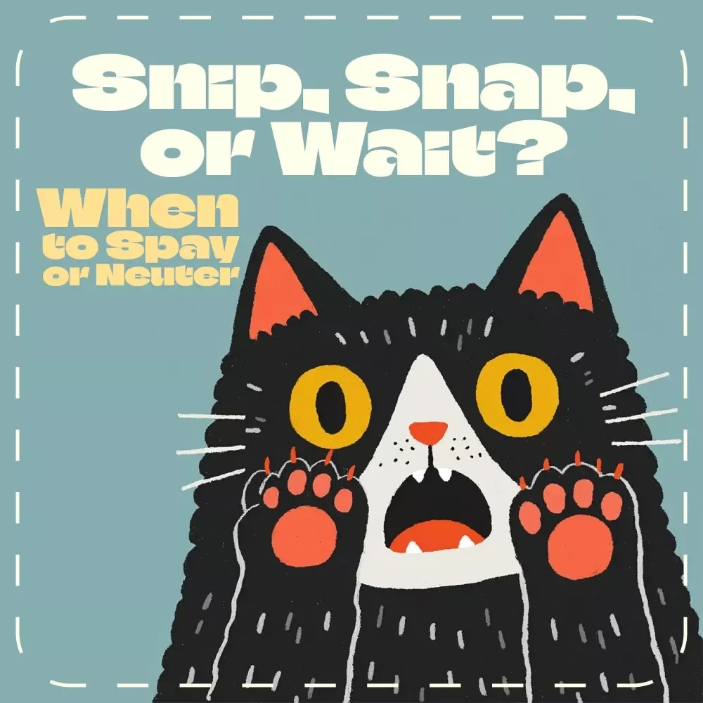 Snip, Snap, or Wait? A Pet Owner’s Guide to Spaying & Neutering | Digital Pet Care Guide | When to Spay or Neuter a Pet eBook | Veterinary Tips, Recovery Advice & AI Tools for Responsible Pet Owners
