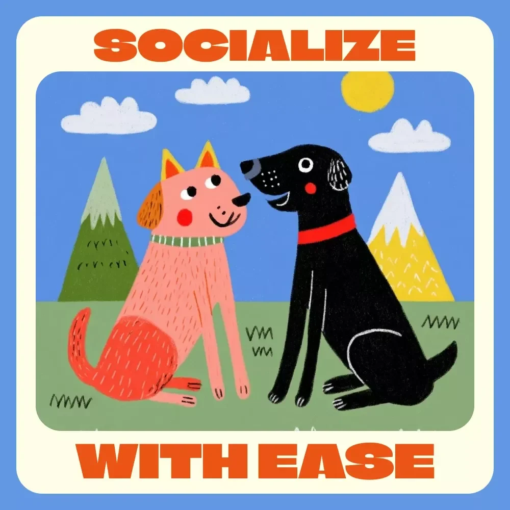 Socialize with Ease: A Calm Pet Checklist – Tips for Calm Socialization of Pets, Digital Download Guide for Stress-Free Pet Interactions