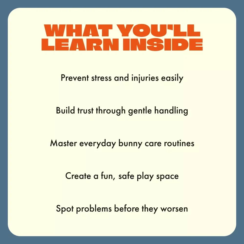 Safely Caring for Your Rabbit | Ultimate Rabbit Care & Handling Guide | Learn How to Handle a Rabbit Safely for Happy, Healthy Bunnies