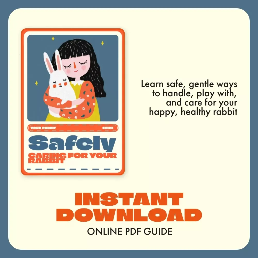 Safely Caring for Your Rabbit | Ultimate Rabbit Care & Handling Guide | Learn How to Handle a Rabbit Safely for Happy, Healthy Bunnies