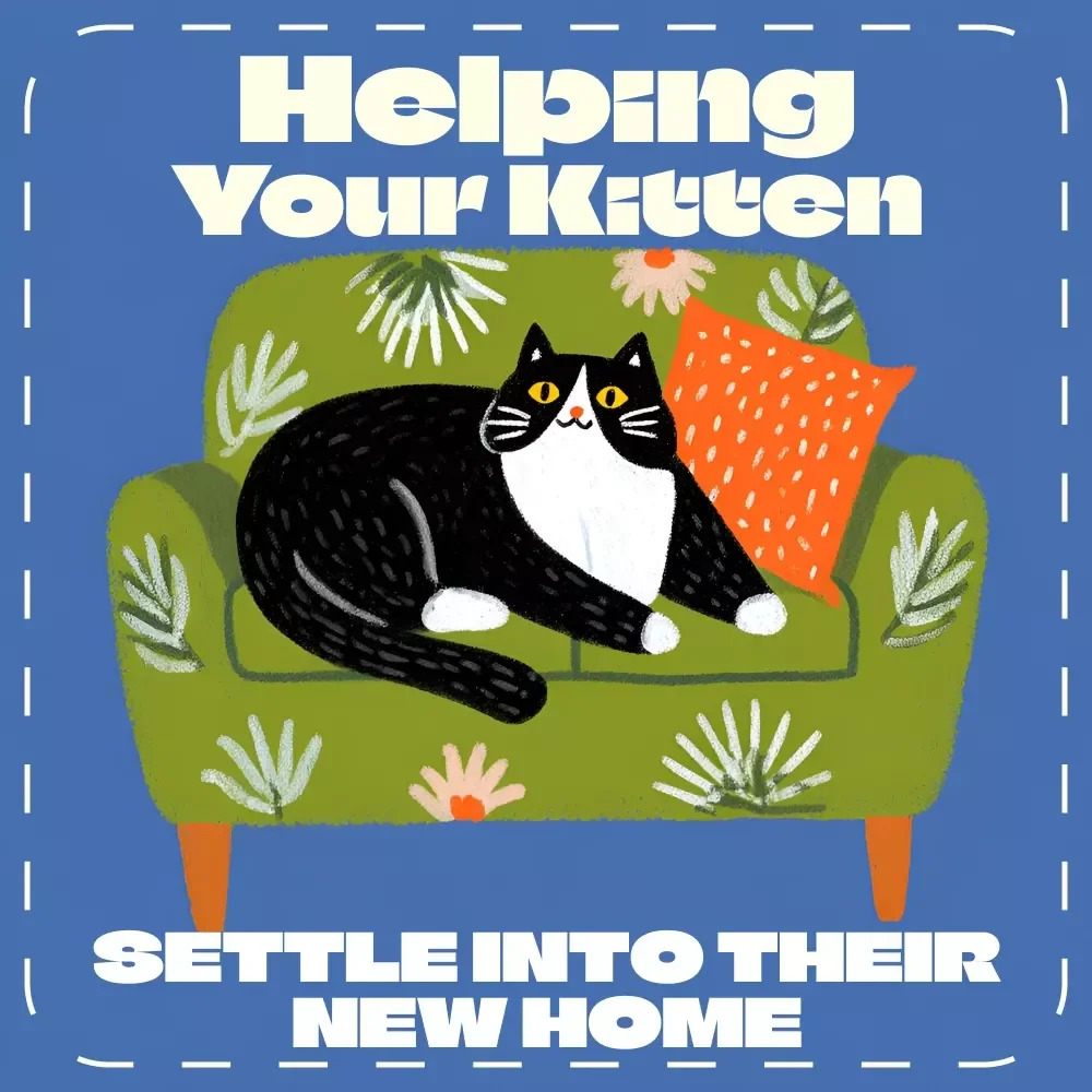 Helping Your Kitten Settle into Their New Home | Digital Guide for New Cat Owners | Step-by-Step eBook on How Long Does It Take a Kitten to Adjust | Feline Care and Comfort Tips