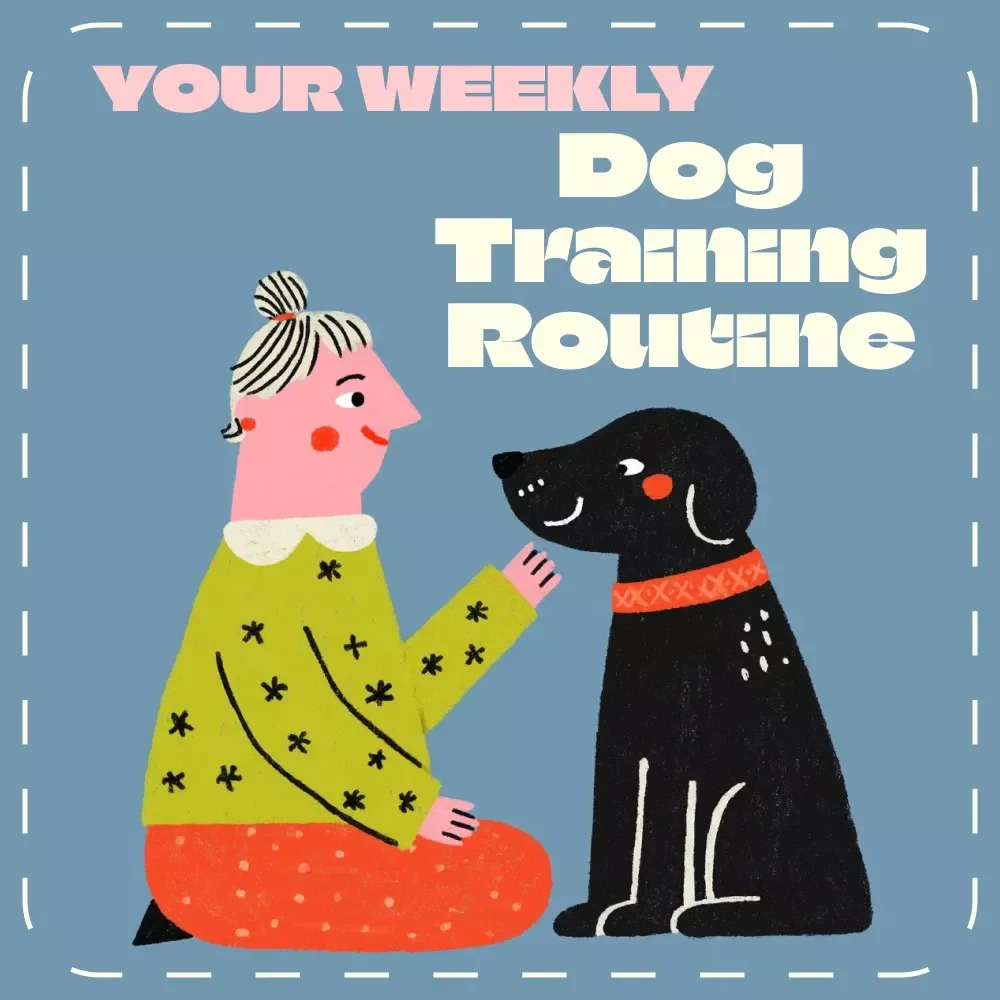Paws on Track: Your Weekly Dog Training Routine – Digital Guide for Dog Owners | Step-by-Step Weekly Training Routine for Dogs | Printable Pet Training eBook