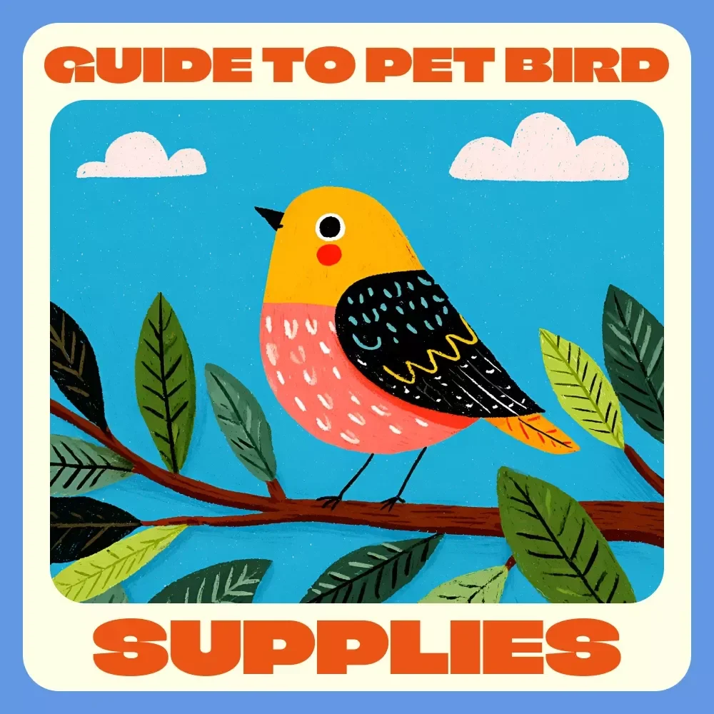 The Guide to Pet Bird Supplies | Ultimate pet bird supply list | Digital Download for Bird Owners, Parrot Parents & Pet Lovers
