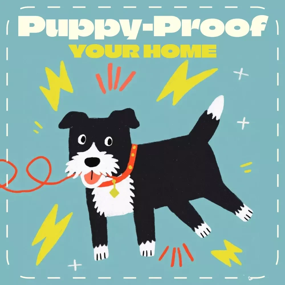 Puppy-Proof Your Home: The Ultimate Cord & Wire Hiding Checklist | Digital Download | How to Hide Cords and Wires from Puppies | Pet Safety Guide for New Puppy Owners